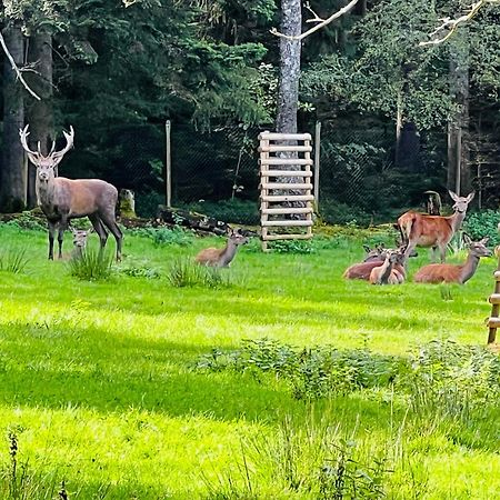 Ferienwohnung Schwarzwald Lodge Schömberg Eksteriør bilde