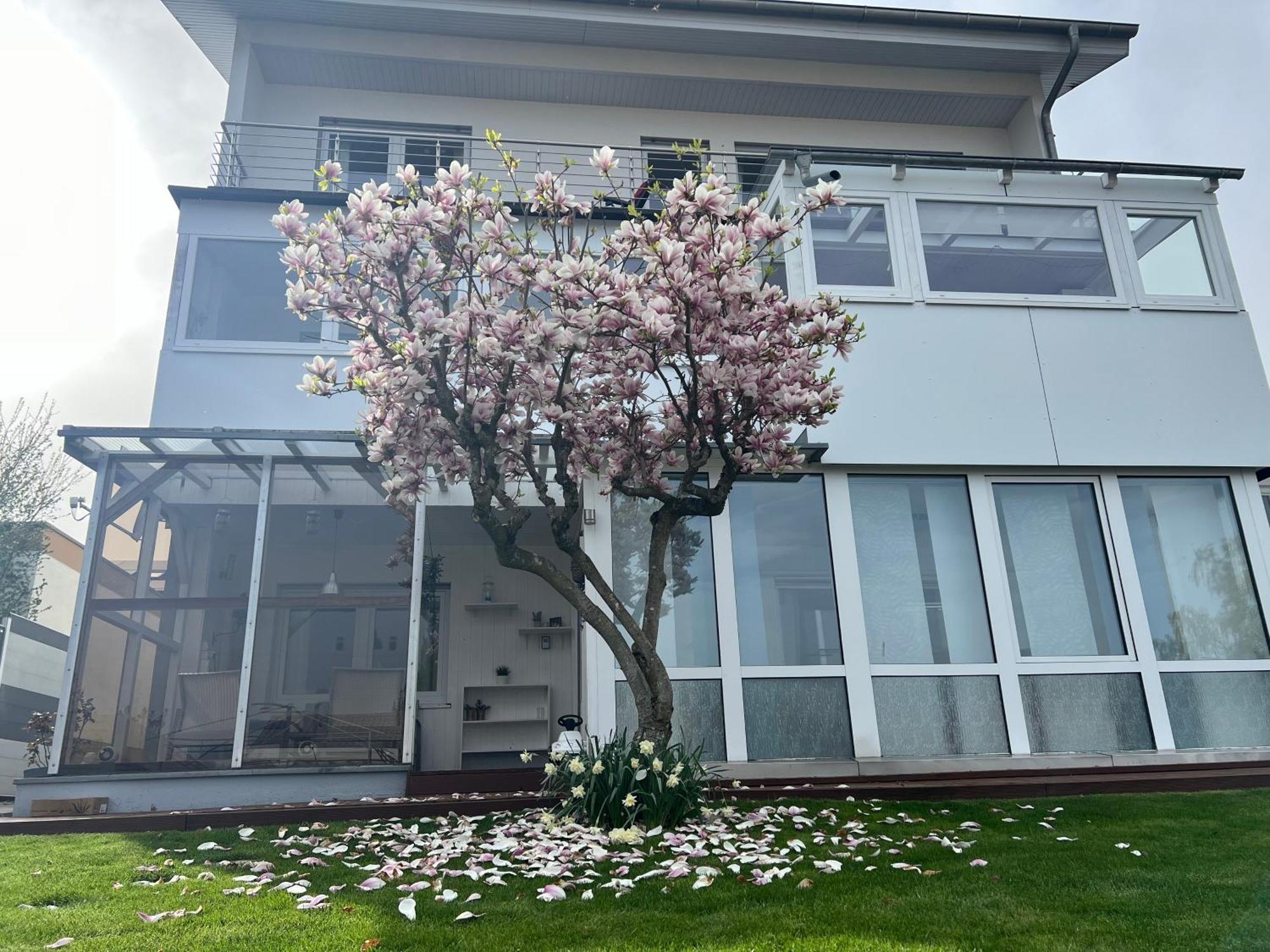 Ferienwohnung Schwarzwald Lodge Schömberg Eksteriør bilde