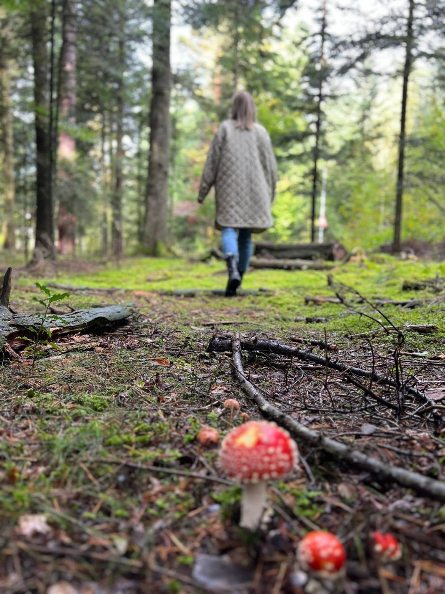 Ferienwohnung Schwarzwald Lodge Schömberg Eksteriør bilde